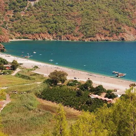 Hakan Minel Adrasan